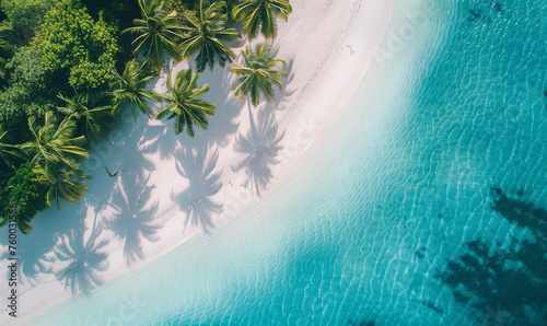 Stunning aerial shot captures the pristine white sands and vivid turquoise waters of a secluded tropical beach, shaded by lush palm trees. © Zography