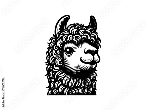 Playful Llama: Llama Vector Illustration for Whimsical Designs and Lively Creations