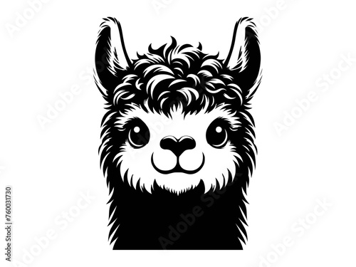 Playful Llama: Llama Vector Illustration for Whimsical Designs and Lively Creations