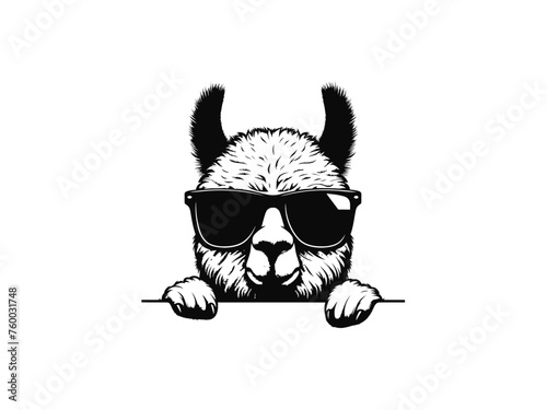 Playful Llama: Llama Vector Illustration for Whimsical Designs and Lively Creations