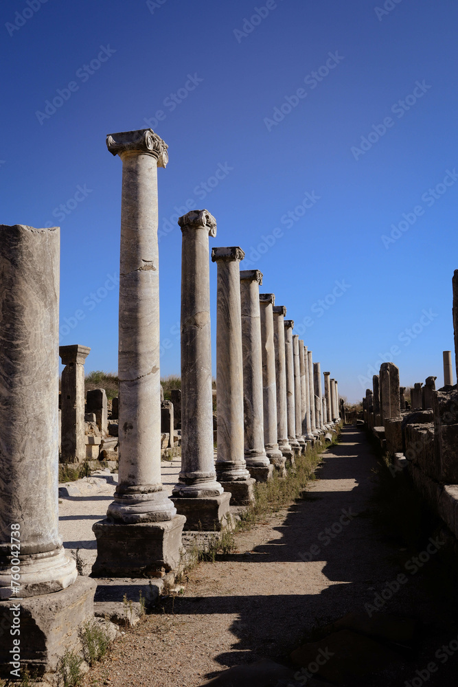 Ancient Roman ruins, columns and ornament
