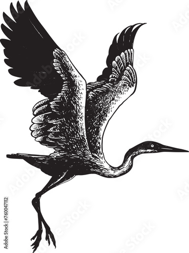Stork hand drawing, vintage engraving heraldic style 02 (ID: 760047112)