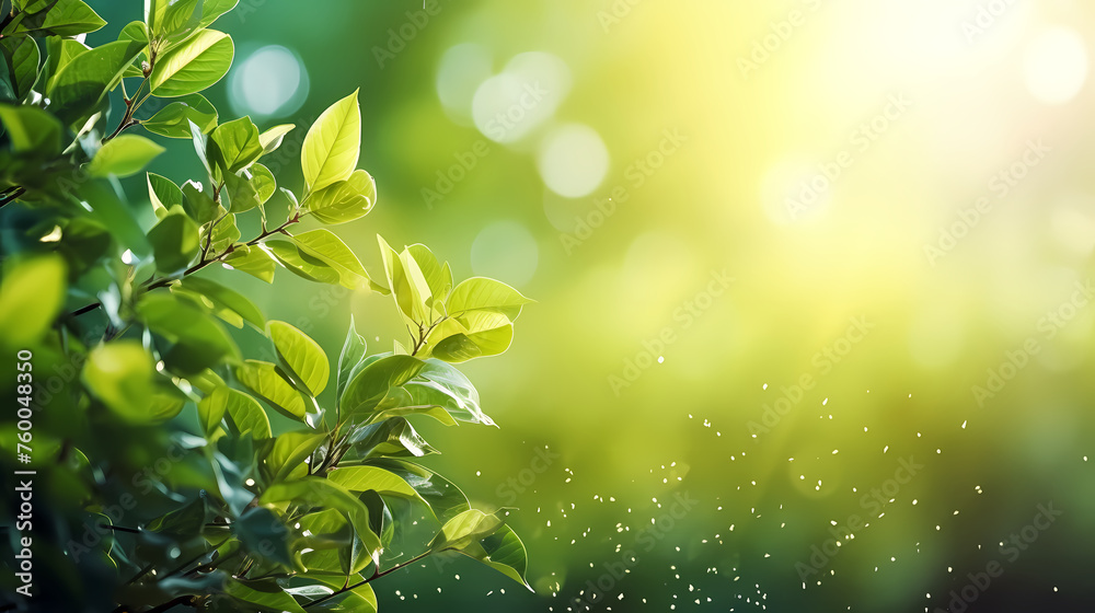 Soft blurred natural background with bokeh Soft blurred natural background with bokeh