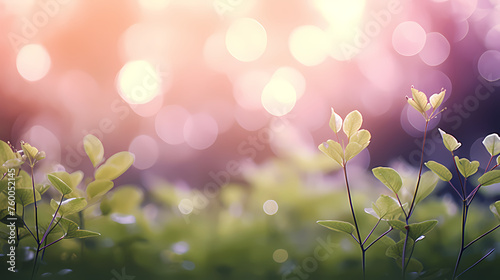 Soft blurred natural background with bokeh