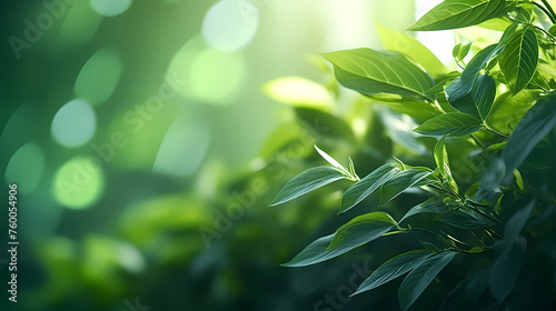 Close-up of vibrant green plants