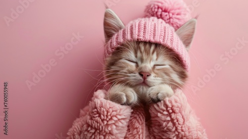 Funny cute cat in baby clothes, creative minimal concept on pink background. Hipster cat in fashionable outfit for sale, poster, shopping, advert, veterinary clinic