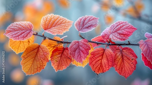  a branch with red and yellow leaves in front of a blurry background of yellow, orange and pink leaves.
