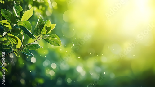 Close-up of vibrant green plants