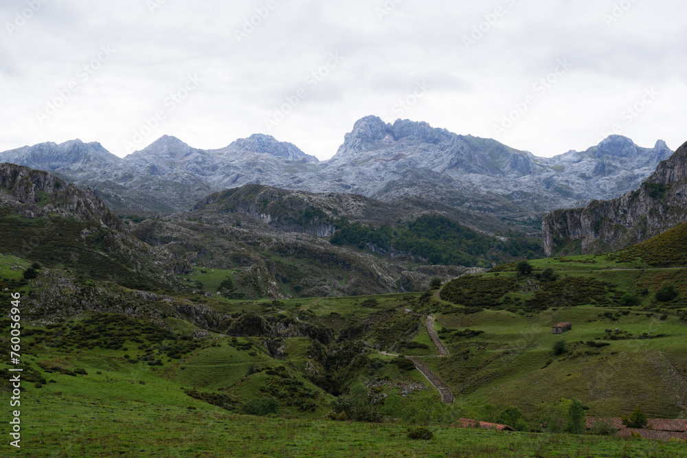 Majestic landscape of a green meadow with the mountains of the Picos de Europa in the background. Lakes of Covadonga. Asturias - Spain