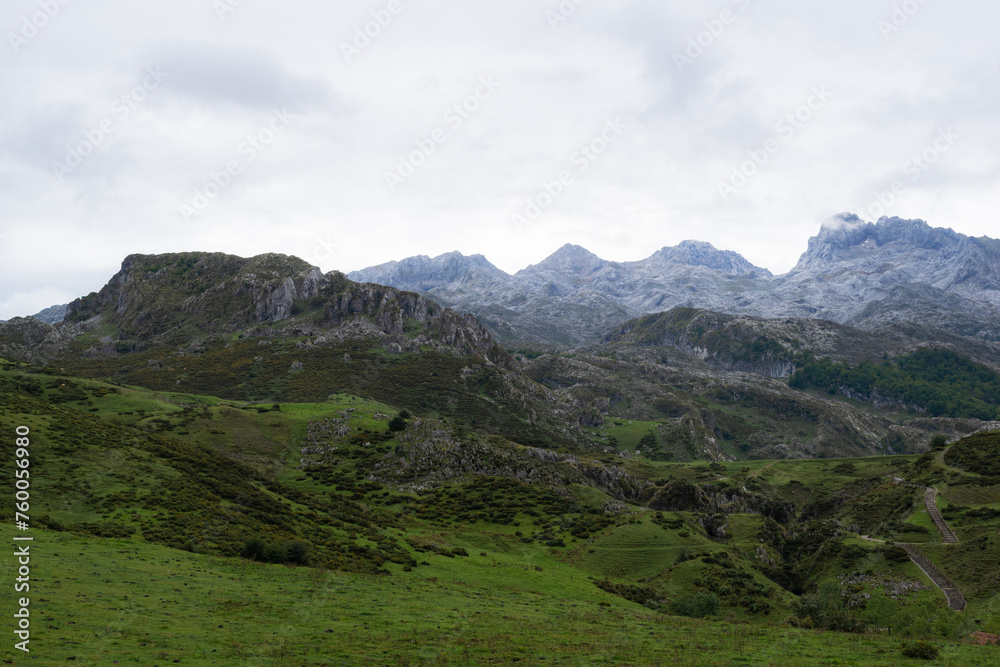 Beautiful view of a meadow and several peaks of the Picos de Europa mountains. Asturias - Spain