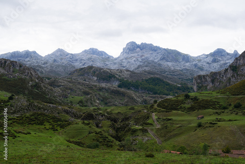 Majestic landscape of a green meadow with the mountains of the Picos de Europa in the background. Lakes of Covadonga. Asturias - Spain