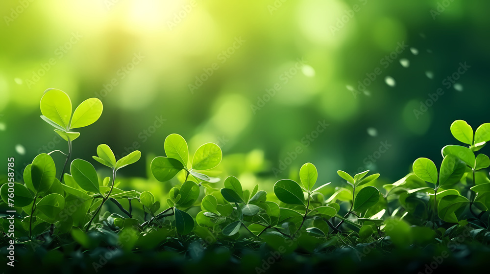 green plant background