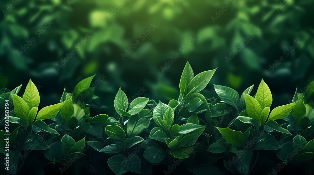 green plant background