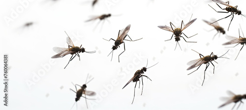 A swarm of mosquitoes isolated on white background ©  Mohammad Xte