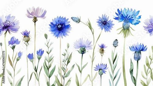 Dandelion, cornflower, watercolor pattern with delicate flowers