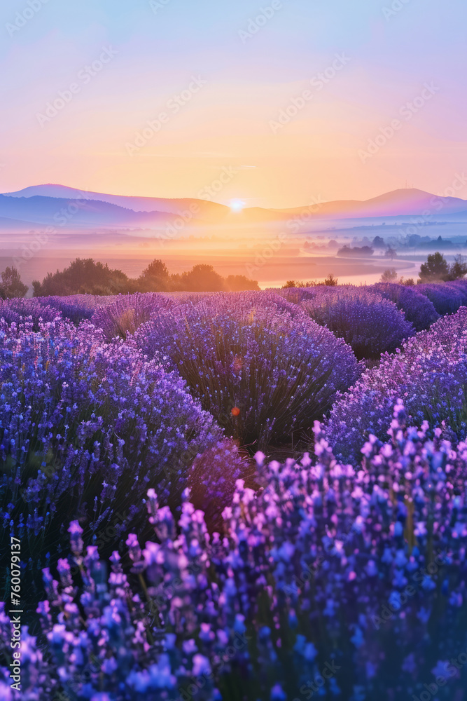 Fototapeta premium Lavender field over summer sunrise landscape. Generative AI