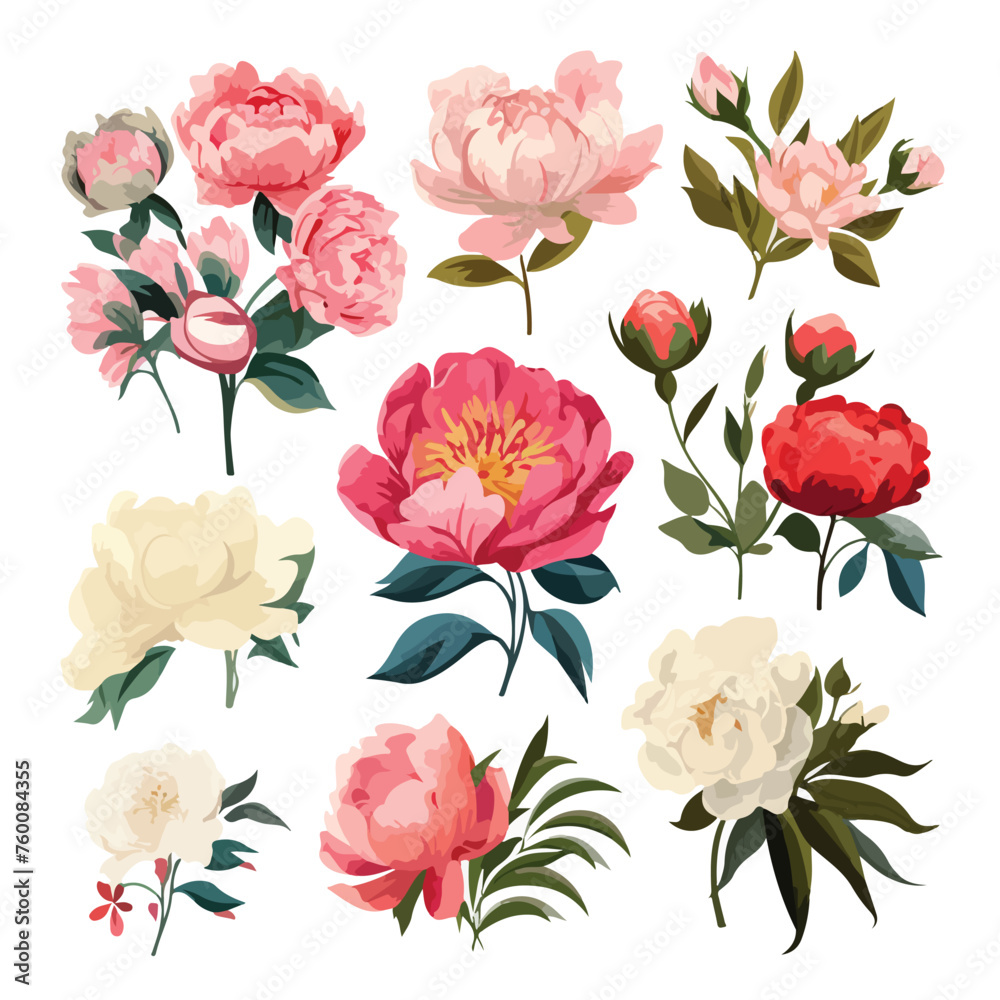 Set of vintage floral vector bouquet of peonies and
