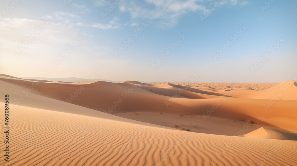 Sand dunes in the Sahara Desert Dunes