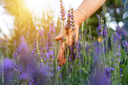 Hand, lavender flower and walking woman in garden or nature for calm, peace and aromatherapy from plants.  #760090301