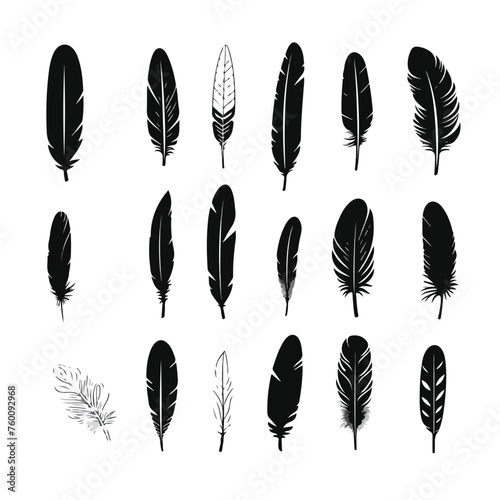 Silhouette of bird feather collection. Pen feather © iclute