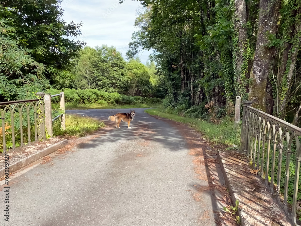 Sur une route de campagne