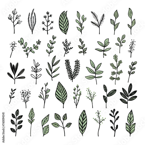 Single hand drawn herbal elements. Doodle vector il