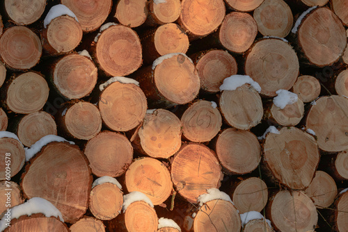 Drewniane pnie ułożone na stercie po ścięciu w lesie. Widok od strony cięcia. Pnie pokrywa cienka warstwa śniegu. © boguslavus