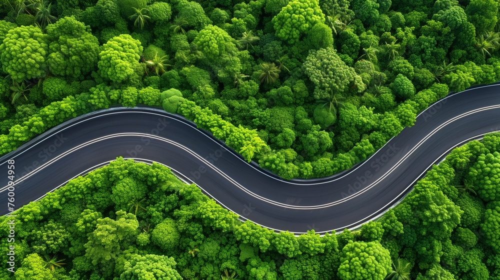 Aerial View of Road Winding Through a Lush Forest