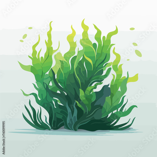 Spirulina underwater plant on a gray background. He