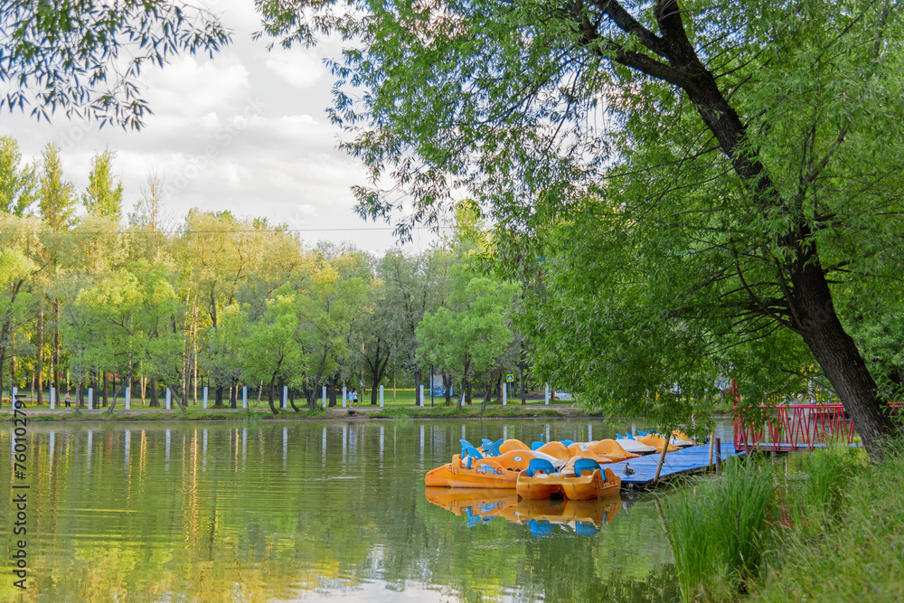 Multi-colored catamarans are parked to a wooden pier on a lake in a city park in summer Multi-colored catamarans are parked to a wooden pier on a lake in a city park in summer