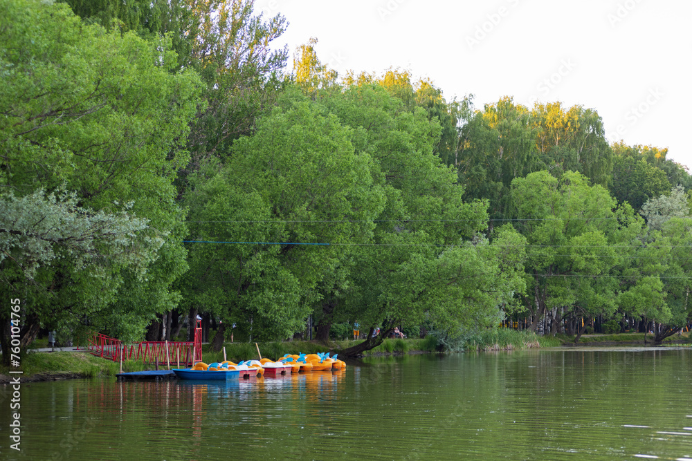 Multi-colored catamarans are parked to a wooden pier on a lake in a city park in summer