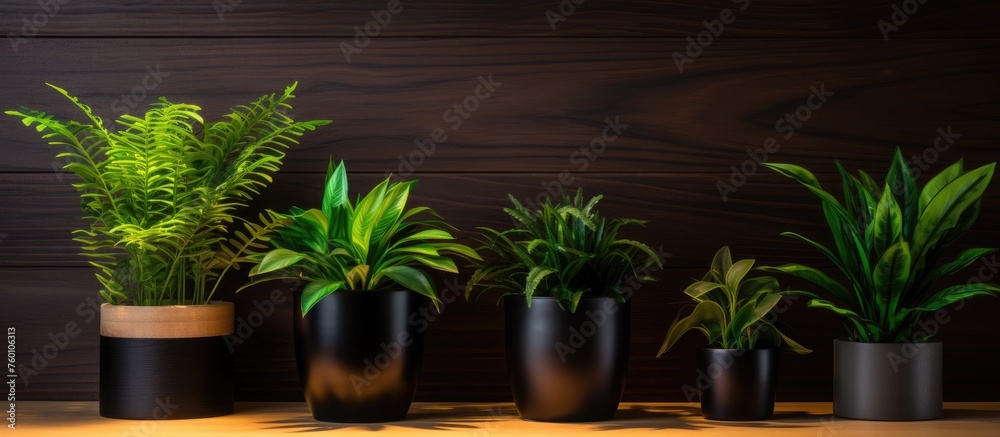 A collection of houseplants in flowerpots neatly arranged on a wooden table, creating a beautiful natural decor for the interior landscape