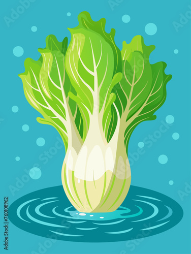 The green and white leaves of an endive vegetable float in a clear glass of water.