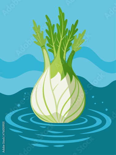 Fresh fennel bulbs floating in clear water on a white background