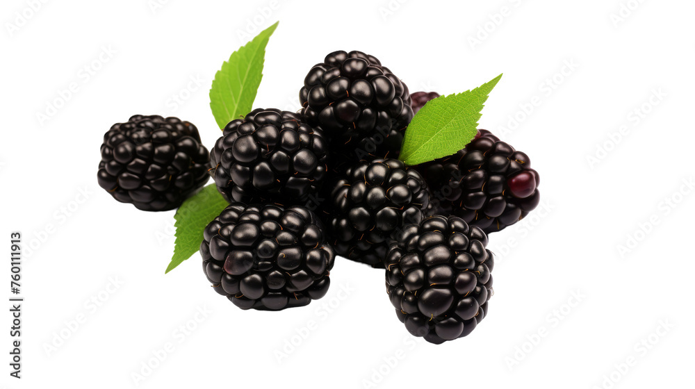 A vibrant cluster of blackberries with leaves, elegantly arranged on a clean white surface A vibrant cluster of blackberries with leaves, elegantly arranged on a clean white surface