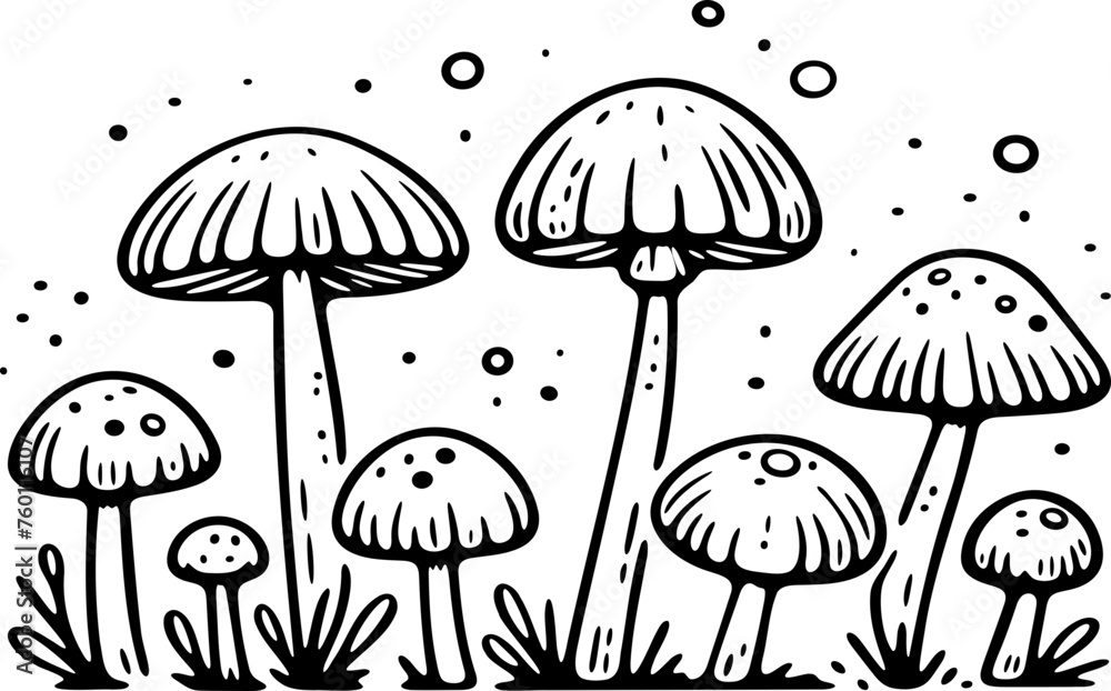 Mushroom Mushroom