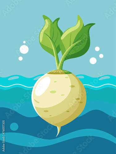 Jicama vegetable photographed against a water background.