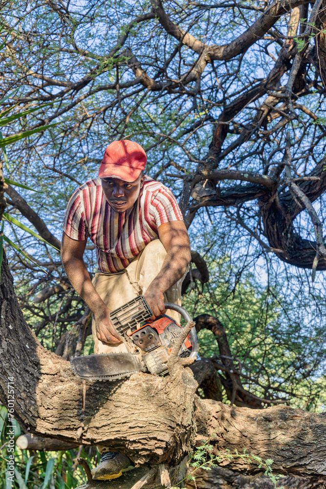 african man with a chainsaw cutting trees, the effects of deforestation