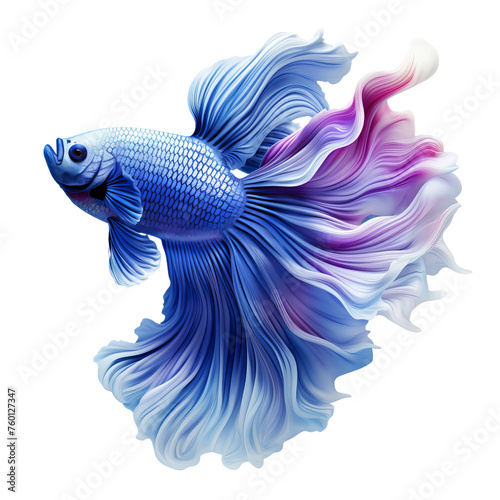 fish isolated on white © Buse