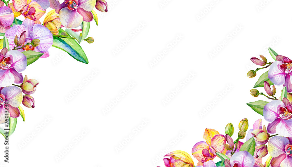 purple orchid flower isolated on transparent background, PNG flowers decoration