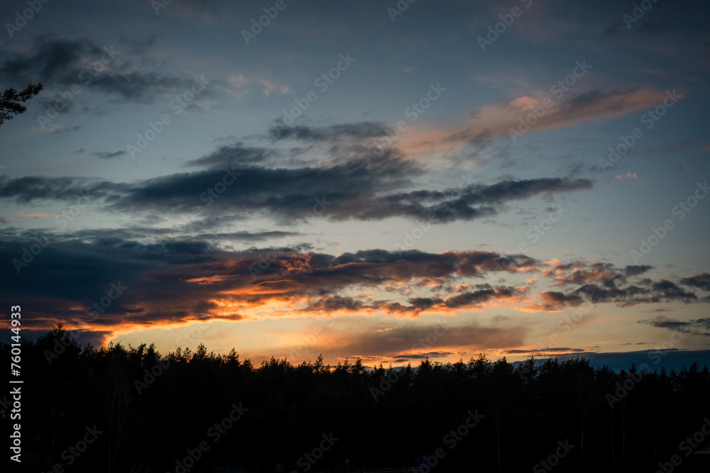 sunset in the mountains.A colourful sunset over the forest. Silhouettes of pine tops and the sky in the sunset glow.  
