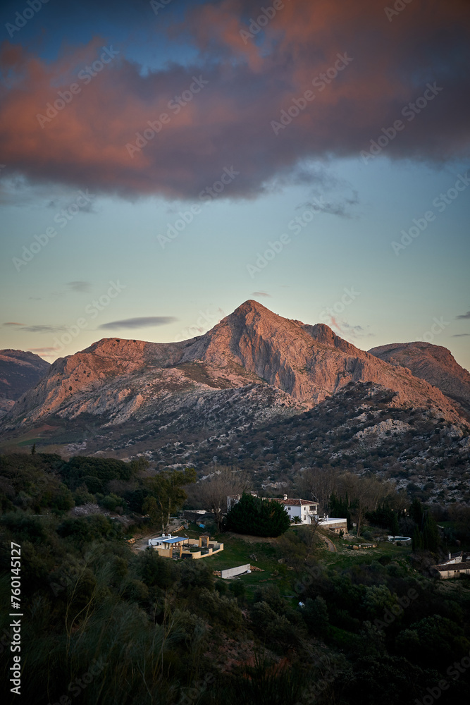 Fototapeta premium Spain Andalucia spring surrounding lonely tree mountains clouds tunnel