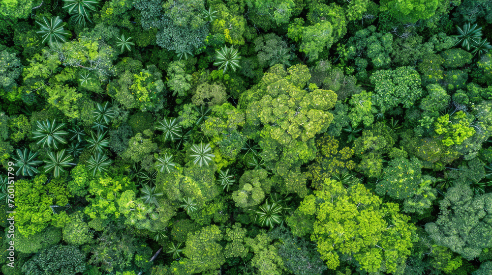 Naklejka premium Carbon Sequestration Illustration Aerial View, news, illustration, image, article, newspaper