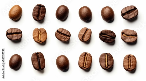 A neatly organized assortment of coffee beans on a white background, inviting the viewer to explore the variety and symmetry