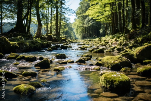 Water flowing through a forest with rocks, trees, and grass