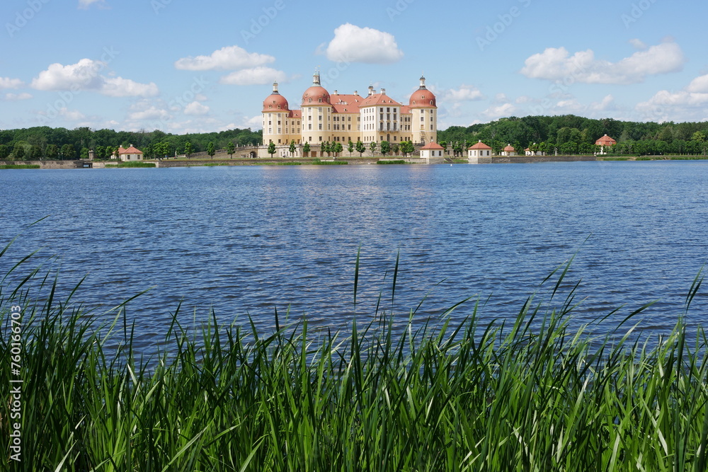 Schlossteich mit Schilf und Blick zum Schloss Moritzburg in Sachsen Schlossteich mit Schilf und Blick zum Schloss Moritzburg in Sachsen