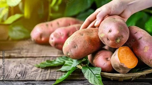 Hand holding fresh sweet potato with blurred selection in background  copy space available