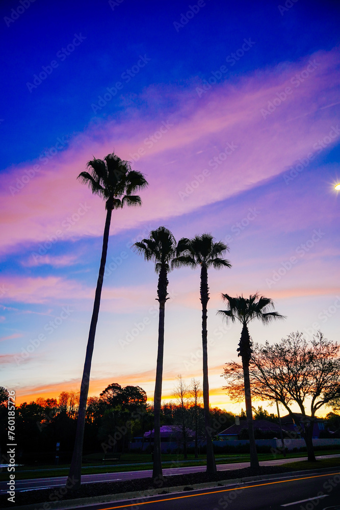 Obraz premium beautiful florida community sun rise