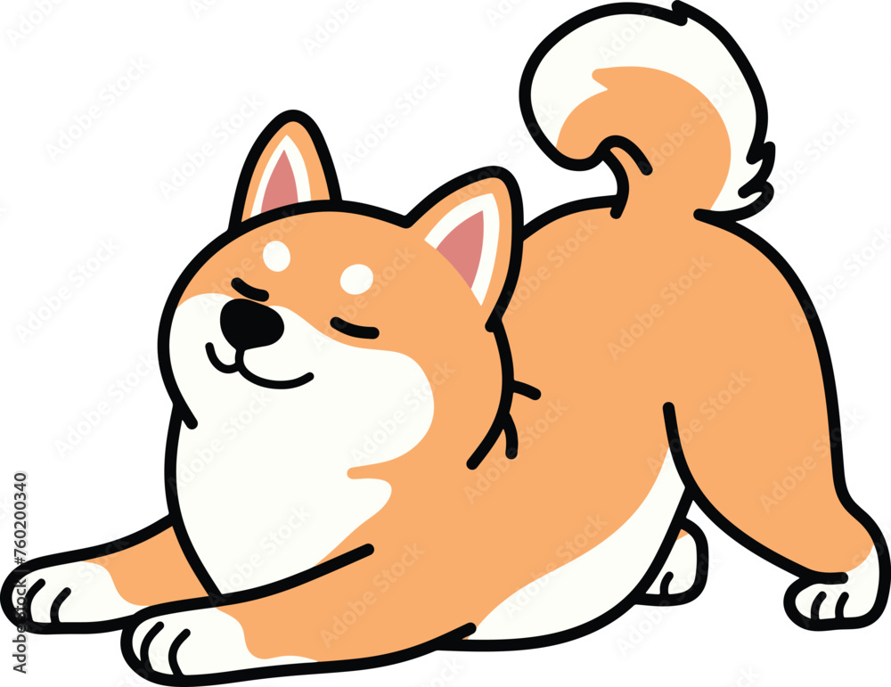 Shiba inu yoga pose Shiba inu yoga pose
