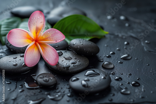 Black zen stones and pink flower with water drops.